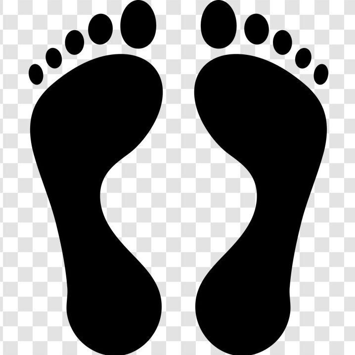 Trace Find Search People South Africa