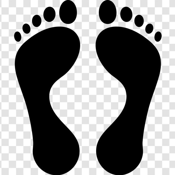 Trace Find Search People South Africa